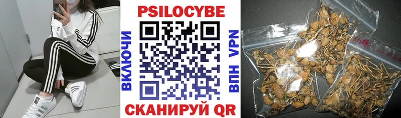 Псилоцибиновые грибы ЛСД  Советская Гавань 